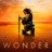 Wonder Woman / 神奇女侠
