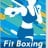 Fit Boxing / 有氧拳击