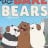 We Bare Bears Season 2 / 咱们裸熊 第二季