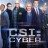 CSI: Cyber Season 2