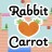 Rabbit loves Carrot