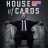 House of Cards (Season 1) / 纸牌屋（第一季）